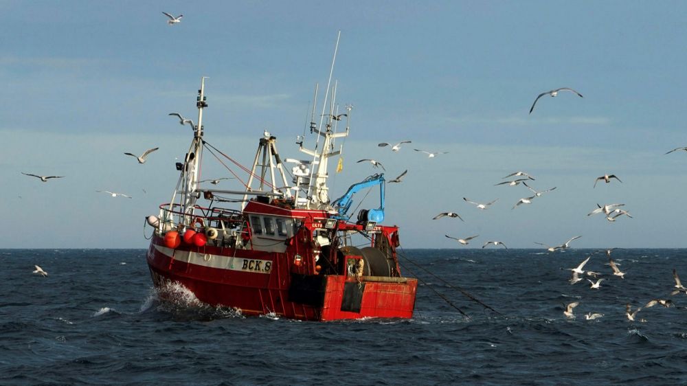 Đánh bắt cá đang trở thành bài toán nan giải trong đàm phán Anh – EU. (Nguồn: AFP)