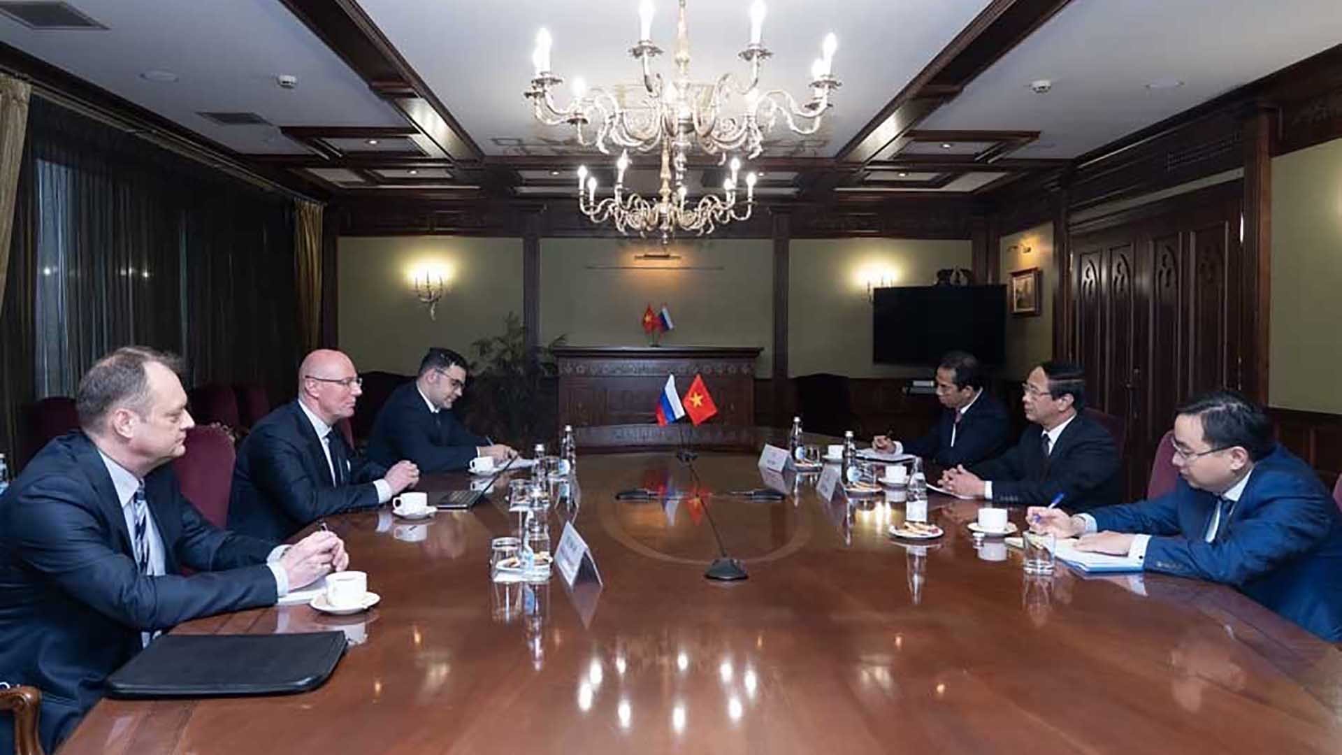 Deputy Prime Minister Le Van Thanh meets Russian counterpart