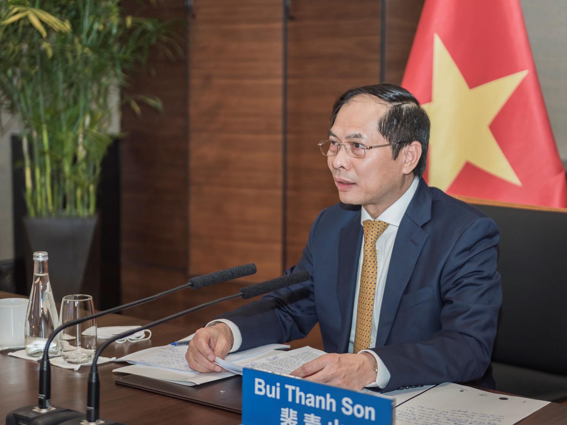 Bộ trưởng Ngoại giao Bùi Thanh Sơn tại cuộc hội kiến