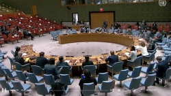 Hội đồng Bảo an tham vấn về tình hình Cao nguyên Golan và nghe báo cáo hoạt động của Ủy ban 2374