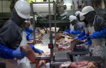 Mỹ nhập khẩu trở lại sản phẩm từ thịt lợn của Mexico