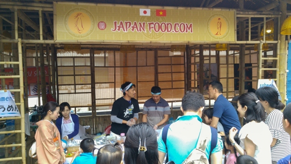 cherry blossoms in full bloom at hanois japanese festival