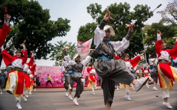 Cherry blossoms in full bloom at Ha Noi’s Japanese festival