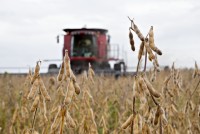 Mỹ tiết lộ Trung Quốc có động thái mới, cho thấy mối quan hệ đang ấm lên