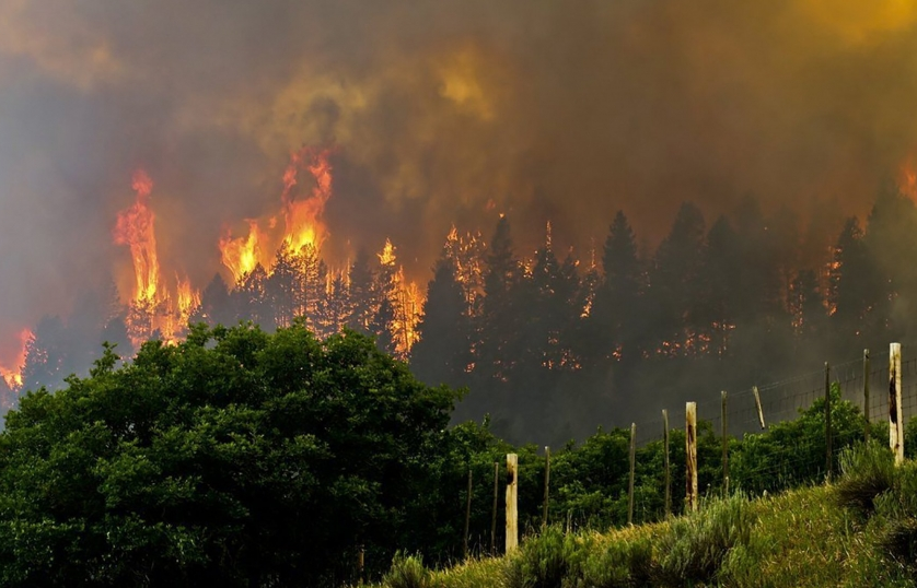 Mỹ sơ tán hàng trăm người do cháy rừng tại bang Colorado