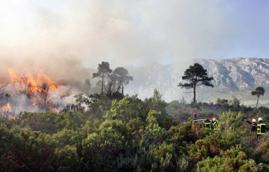 Pháp: Cháy rừng trên diện rộng tại miền Nam