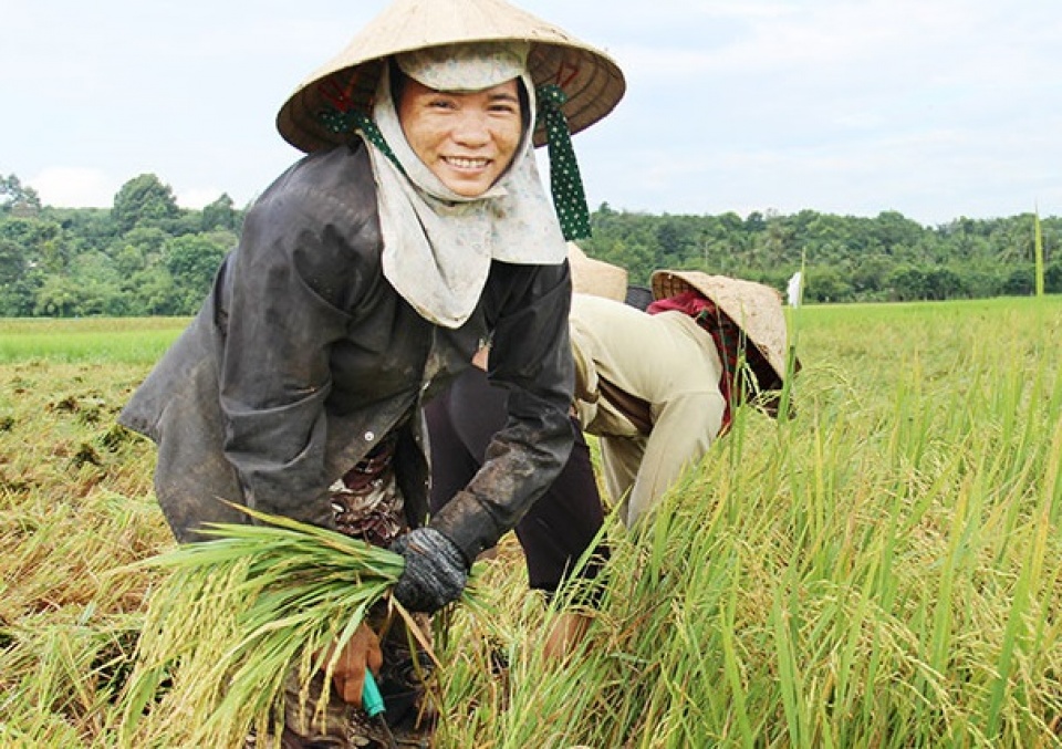 khai truong du an ho tro phu nu viet nam