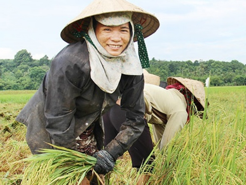 Khai trương dự án hỗ trợ phụ nữ Việt Nam