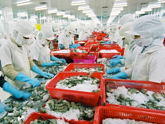 Cơ hội mới cho ngành nuôi tôm Việt Nam xâm nhập thị trường Australia