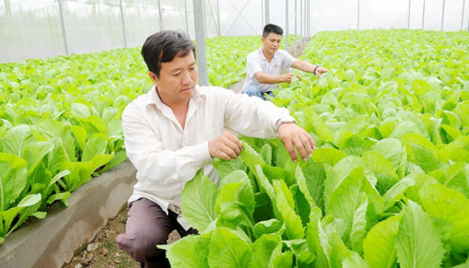 chu dong loi ra cho nong nghiep viet