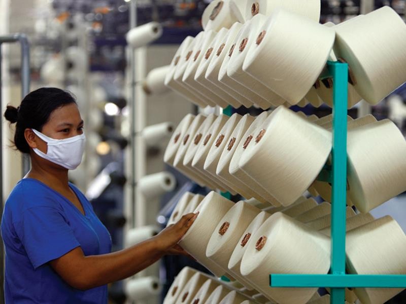 Fibre exports hit a record high of US$5.5 billion