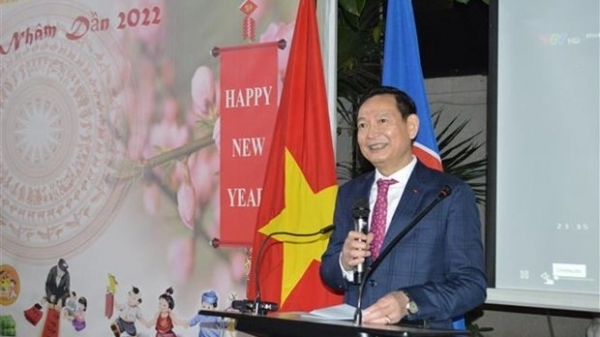 Vietnamese people in Egypt, Russia celebrate Lunar New Year