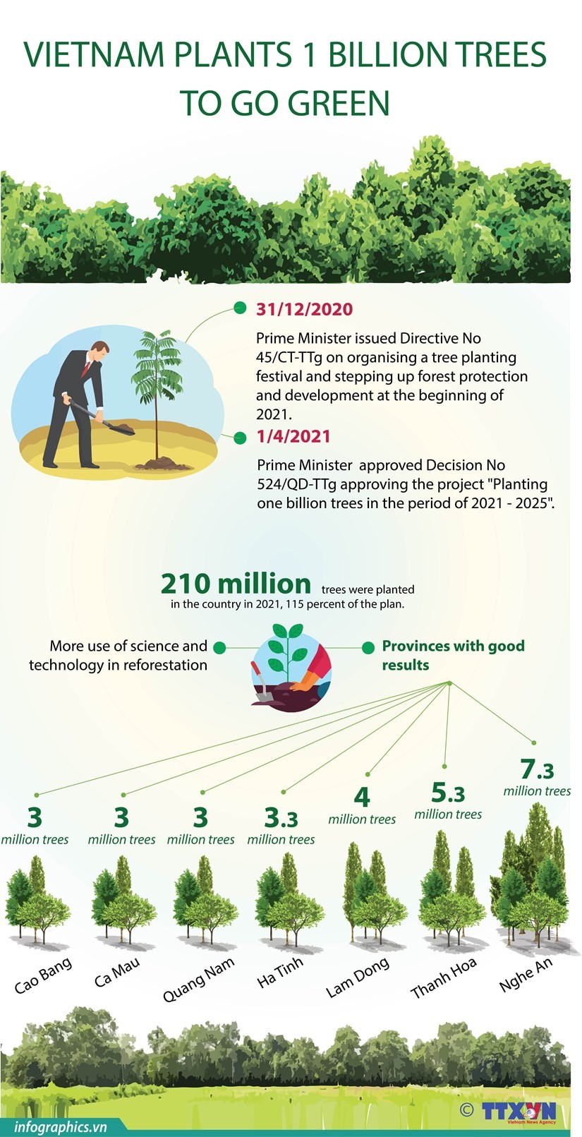 Viet Nam plants 1 billion trees to go green