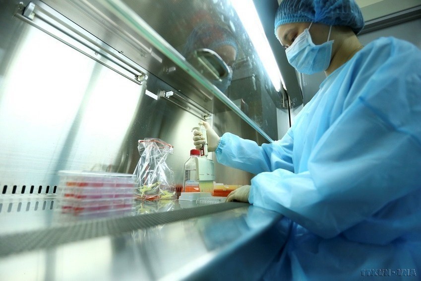 Virus isolation by a group of female scientists at the Central Institute of Hygiene and Epidemiology. (Photo: VNA)