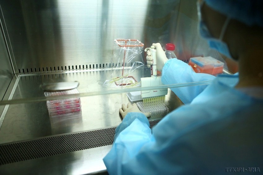 Isolation of viruses by female scientists at the National Institute of Hygiene and Epidemiology. (Photo: VNA)