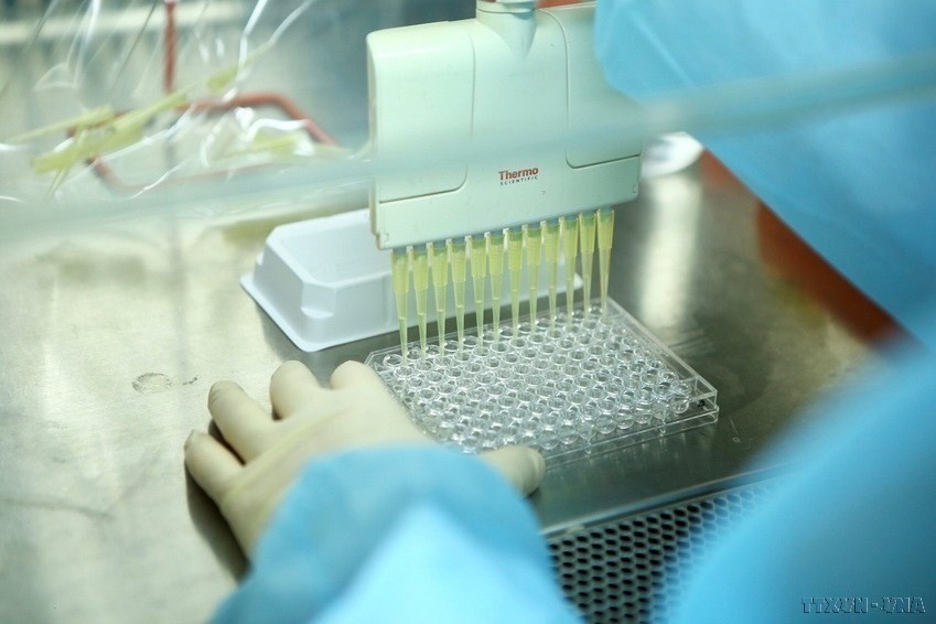 Isolation of viruses by female scientists at the National Institute of Hygiene and Epidemiology. (Photo: VNA)