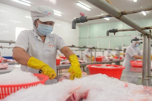 An export-oriented fish processing plant in HCM City. Vietnamese businesses face numerous challenges, residual from COVID and the ongoing Russia-Ukraine conflict. (Photo: nld.com.vn)