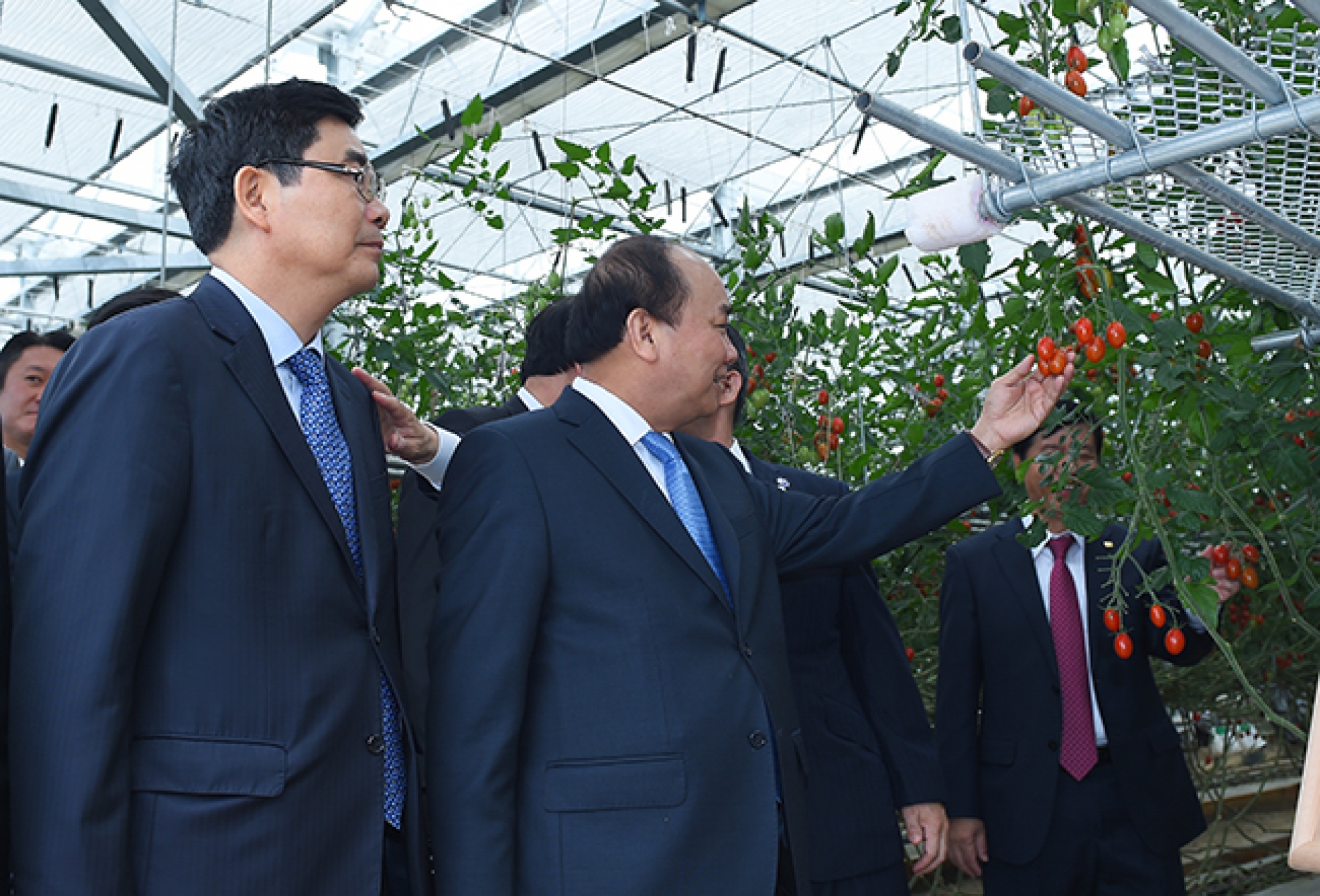 Thủ tướng thăm nông trại công nghệ cao ở Yokoyama