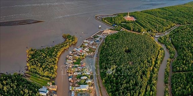 Workshop on measures to increase mangrove afforestation in Mekong Delta