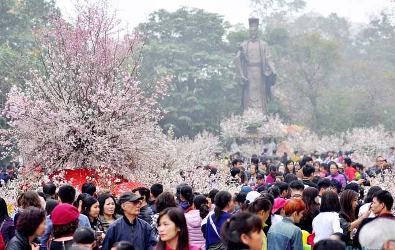 Sakura Festival held in Hanoi in 2020. (Photo: hanoimoi)