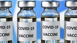Ấn Độ: Tiêm kết hợp vaccine Covishield và Covaxin tạo khả năng miễn dịch tốt hơn