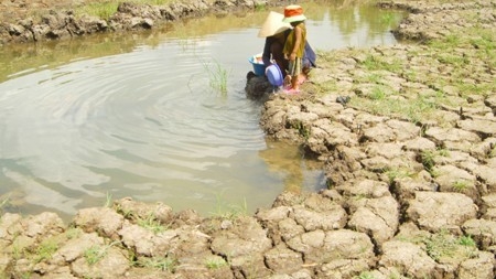 Vietnam to ‘kill two birds with one stone' method in response to climate change