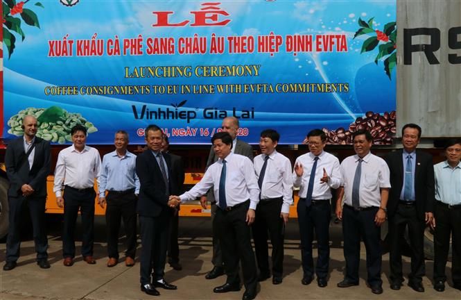1336-vna-potal-vietnam-ships-first-batch-of-coffee-to-eu-under-evfta-5019324