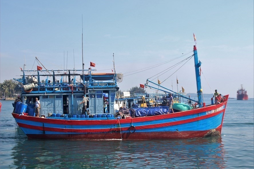 Officials from the European Commission (EC) will visit Vietnam again this October to check measures against illegal, unreported and unregulated (IUU) fishing in coastal areas. (Photo: laodong)