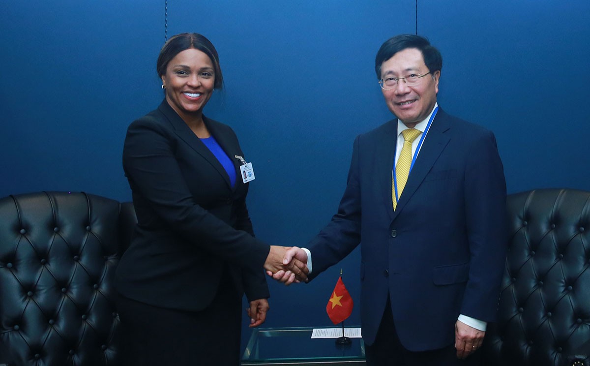 Deputy PM Pham Binh Minh meets FM Guinea Bissau