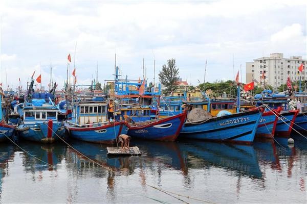 Prime Minister orders urgent measures against typhoon Noru - Localities from Nghe An to Binh Dinh have guide 57,800 vessels to seek safe shelters. (Photo: VNA)