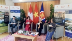 Viet Nam Day in Switzerland celebrates anniversary of diplomatic relations