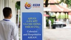 ‘Việt Nam đã đưa tầm nhìn và sự năng động của mình tới ASEAN’
