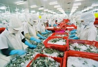 Doanh nghiệp nên chủ động tìm hiểu các quy định của EU