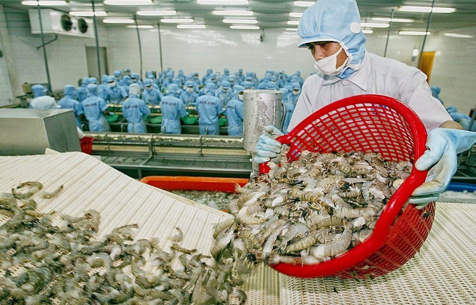 EU dẫn đầu về nhập khẩu tôm từ Việt Nam