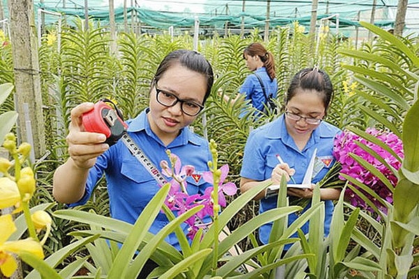 Thúc đẩy sự tham gia của thanh niên trong phát triển và khởi nghiệp