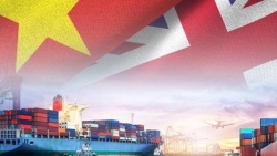 Xuất khẩu ngày 1-3/1: Nhật Bản, Hàn Quốc đang tăng tốc thu mua hoa quả gì của Việt Nam? Xuất khẩu sang Anh tăng ấn tượng nhờ 'lực đẩy' UKVFTA