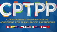 Hồ sơ mời thầu dịch vụ tư vấn gói thầu thuộc Hiệp định CPTPP cần những yêu cầu gì?