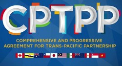 Hồ sơ mời thầu dịch vụ tư vấn gói thầu thuộc Hiệp định CPTPP cần những yêu cầu gì?