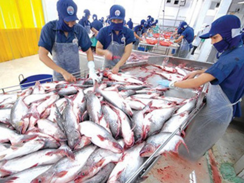 Giá trị xuất khẩu thủy sản dự báo tiếp tục tăng trưởng