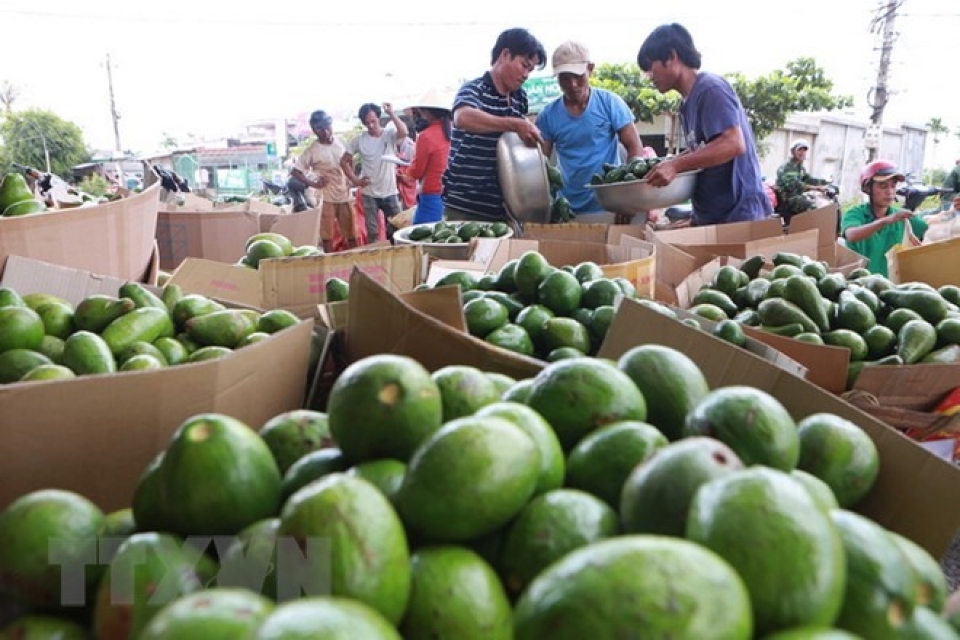 vietnam seeks to accelerate agricultural restructuring