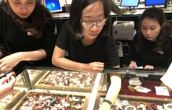 Gold prices surpass 49 million VND per tael, hitting 8-year high
