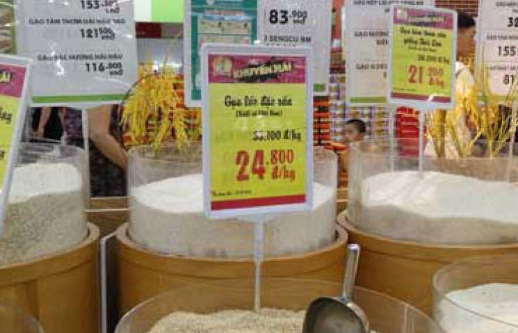 Gạo Việt bị cạnh tranh khốc liệt ngay trên sân nhà