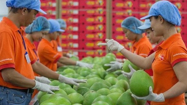 Nâng cao năng lực cho nông sản Việt