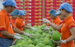 Nâng cao năng lực cho nông sản Việt