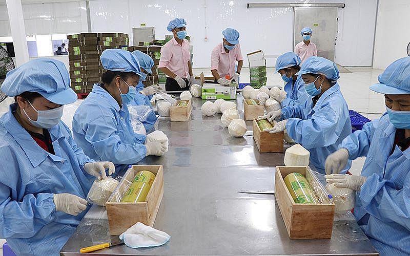 Báo Trung Quốc: RCEP mang đến cơ hội phát triển cho các doanh nghiệp Việt Nam