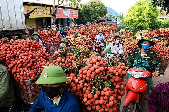 Đổi thay nơi miền núi Lục Ngạn sau những lần 'đưa vải xuất ngoại'