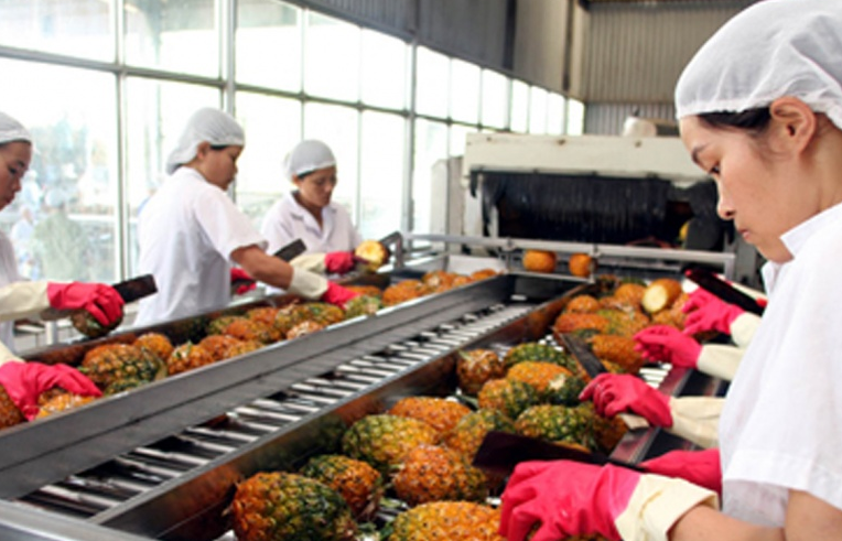 Rau quả Việt Nam đã có mặt tại 60 thị trường trên thế giới