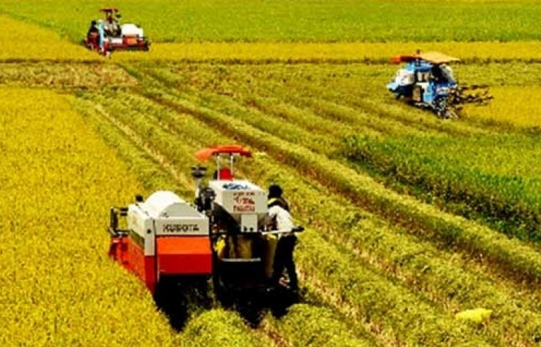 Cải cách nông nghiệp là then chốt để Việt Nam thúc đẩy tăng trưởng
