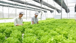 Cơ hội cho các doanh nghiệp công nghệ nông nghiệp Việt Nam mở rộng thị trường