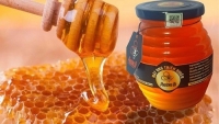 Tin vui cho mật ong Việt Nam tại thị trường Hoa Kỳ